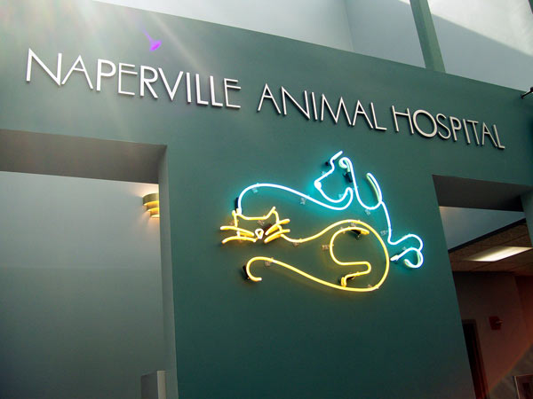 Naperville Animal Hospital pic